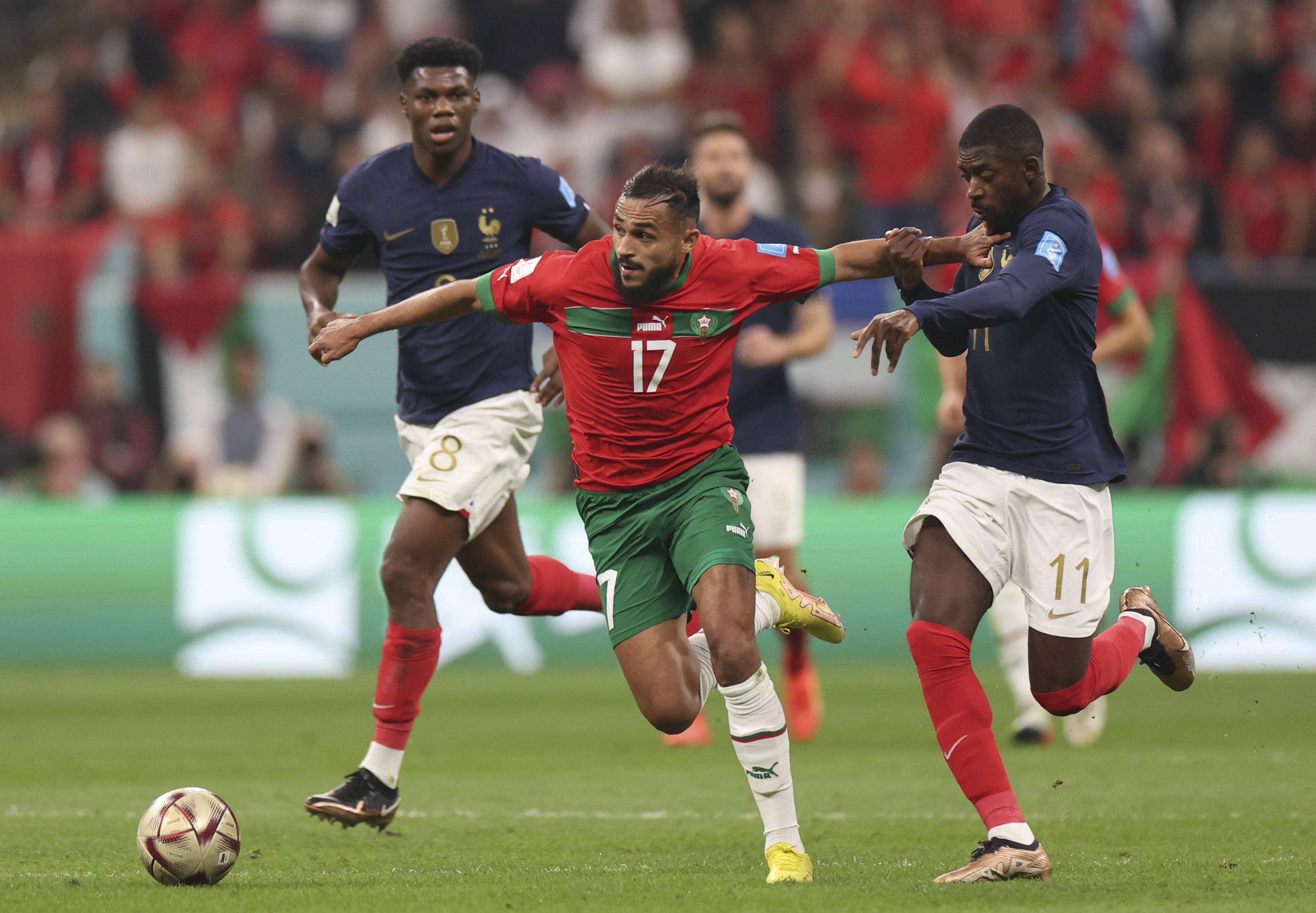 说希望别再 说希望别再