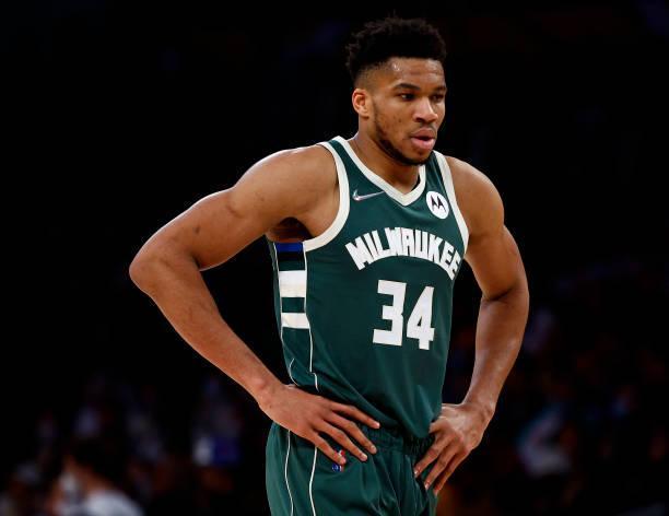 易误导球队 易误导球队